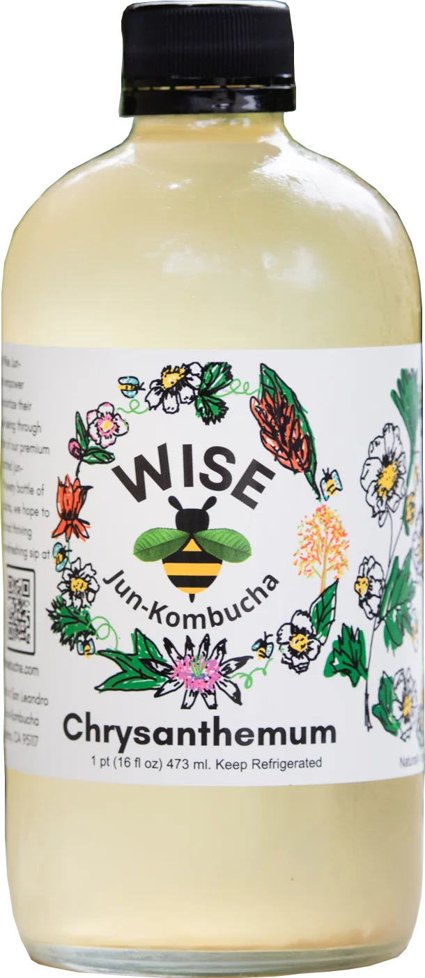 Chrysanthemum Jun-Kombucha